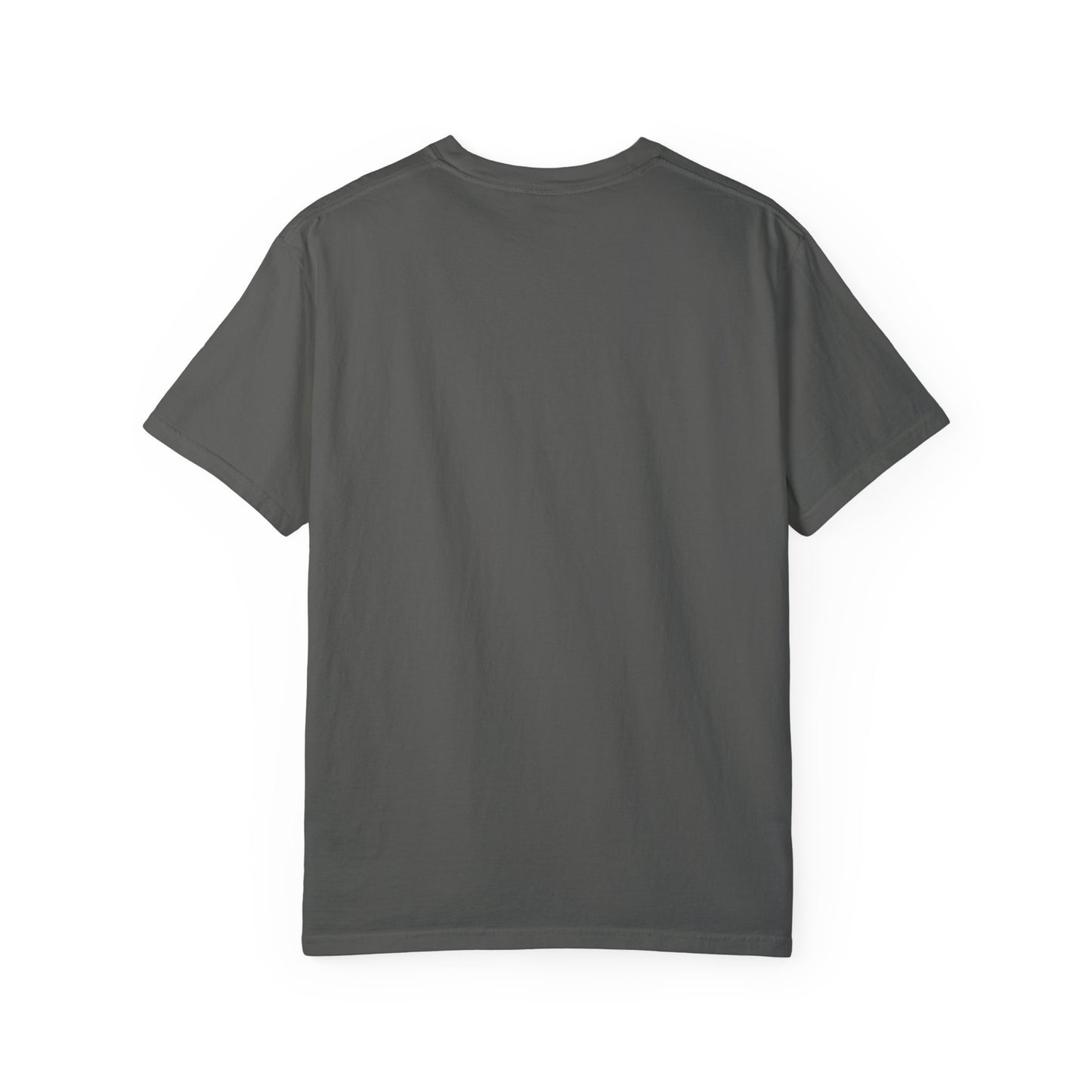 Unisex Garment-Dyed T-shirt - Black History T-shirt